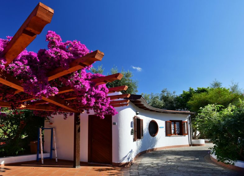 6b1aef93-2762-400b-aba9-47c177384dba