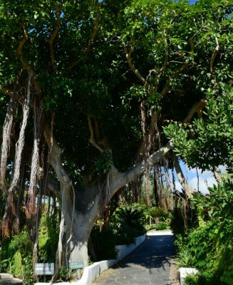 Spazio_Parco-Botanico